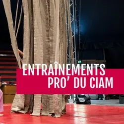 Poster di formazione professionale CIAM