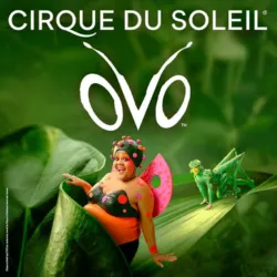 Offizielles Poster für die Cirque du Soleil Show OVO mit der Marienkäfer-Heldin in einer üppigen, pflanzenreichen Umgebung.