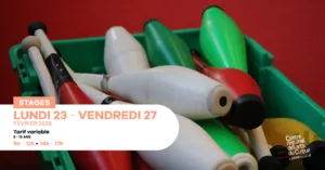 Colorful juggling clubs arranged in a crate, illustrating a children's circus workshop focused on juggling.